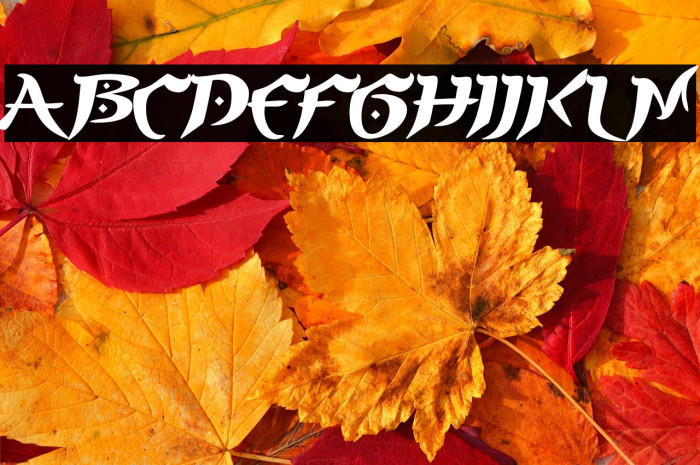 PrinceofPersia Example 2