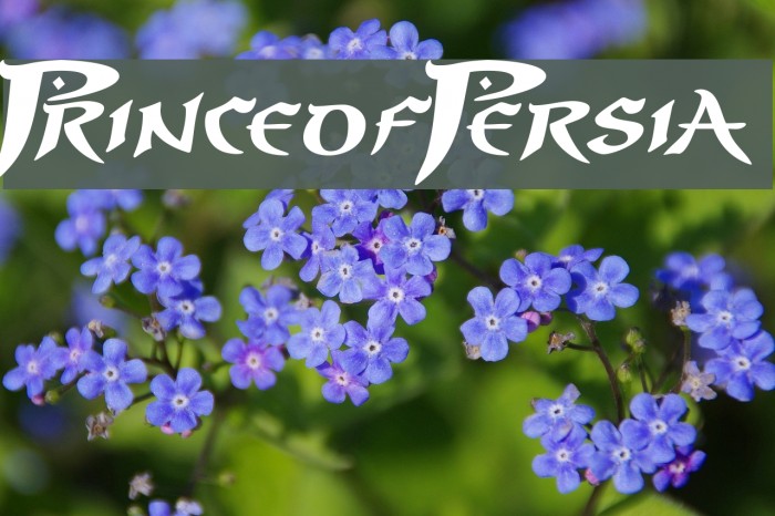PrinceofPersia Example 2