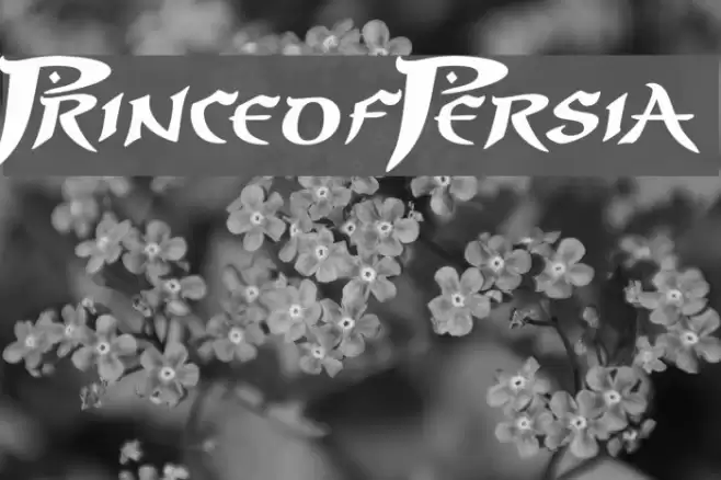 PrinceofPersia Font examples