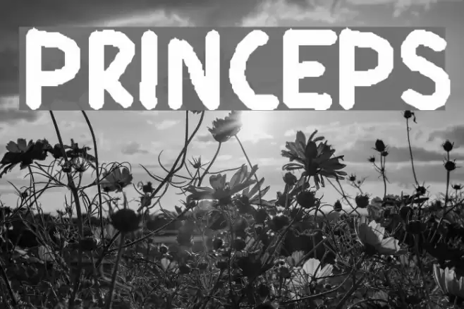 Princeps Font examples