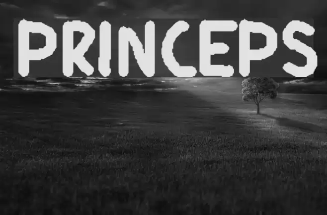 Princeps Font examples