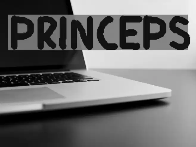 Princeps Font examples