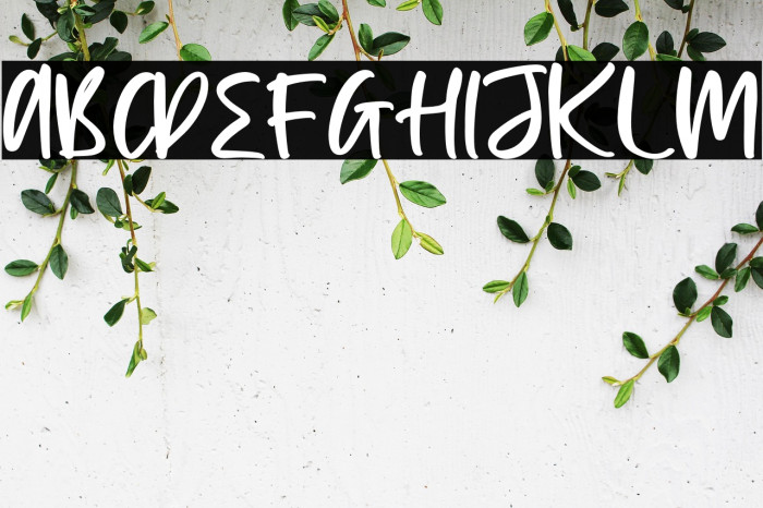 Princes Gabriela Example 2