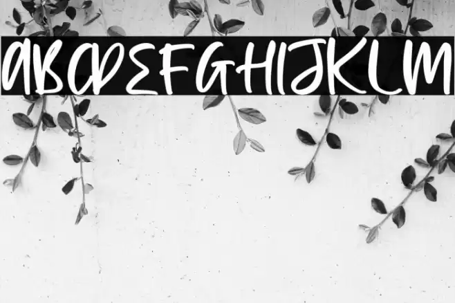 Princes Gabriela Font examples