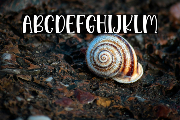 Princess Angela Example 2