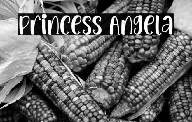 Princess Angela Font examples