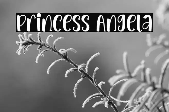 Princess Angela Font examples