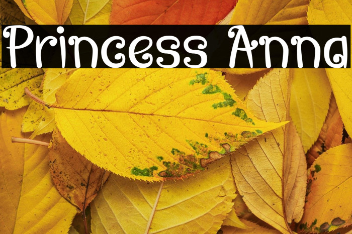 Princess Anna Example 3