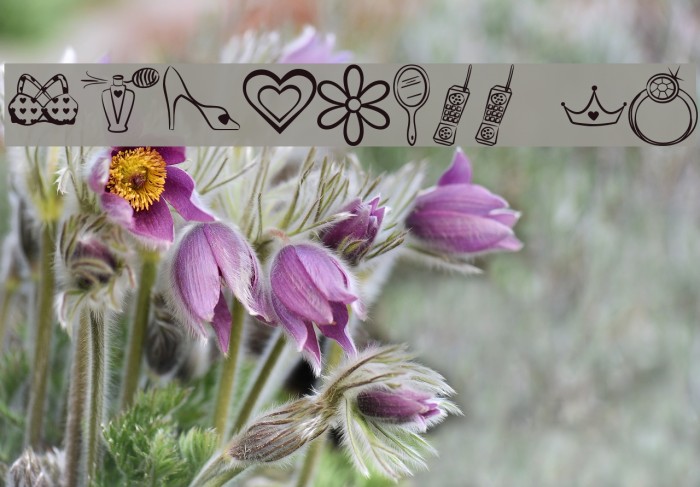 Princess BV Example 2