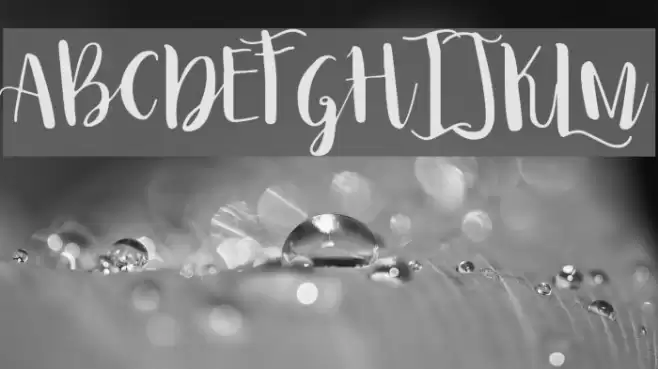 Princess Ivy Font examples