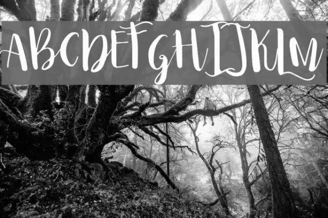 Princess Ivy Font examples