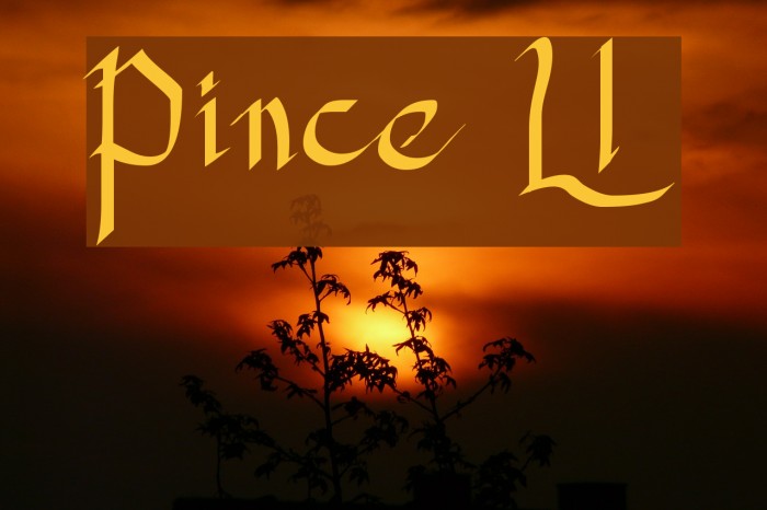 Princess Lulu Font examples