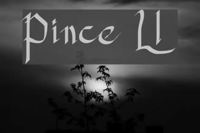 Princess Lulu Font examples