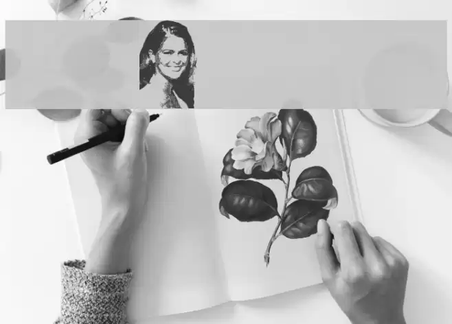 Princess Madeleine of Sweden Polices examples