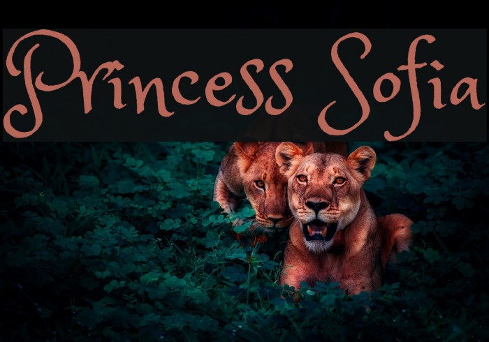 Princess Sofia Font examples