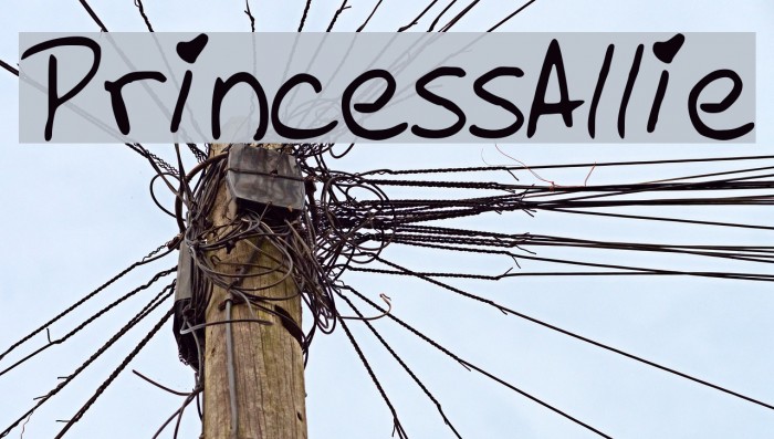 PrincessAllie Font examples