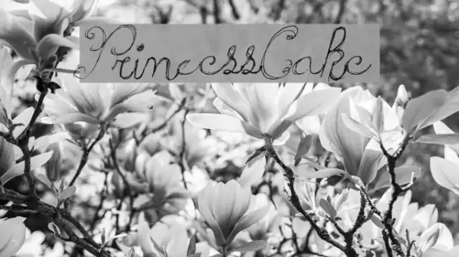PrincessCake Font examples