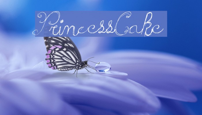 PrincessCake Font examples