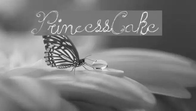 PrincessCake Font examples