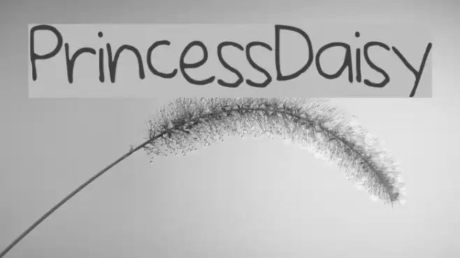 PrincessDaisy Font examples
