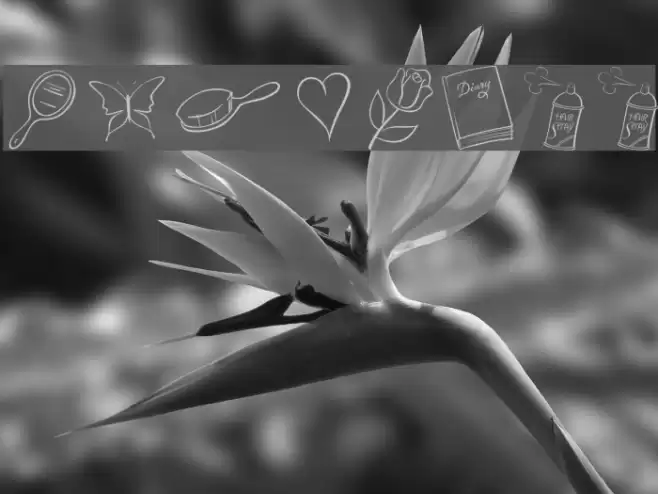 Princess Font examples