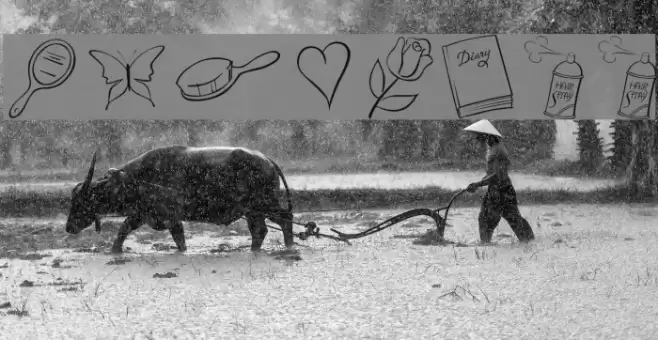 Princess Font examples