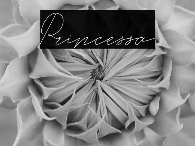 Princessa Font examples