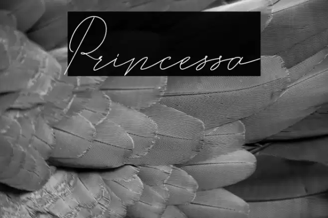 Princessa Font examples