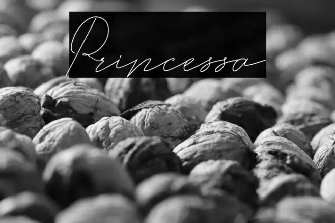 Princessa Font examples