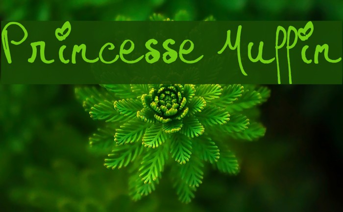 Princesse Muffin Font examples