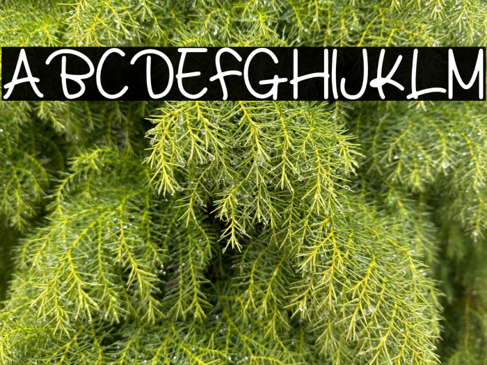 Princesset Example 3