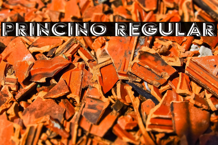 Princino Regular Example 1