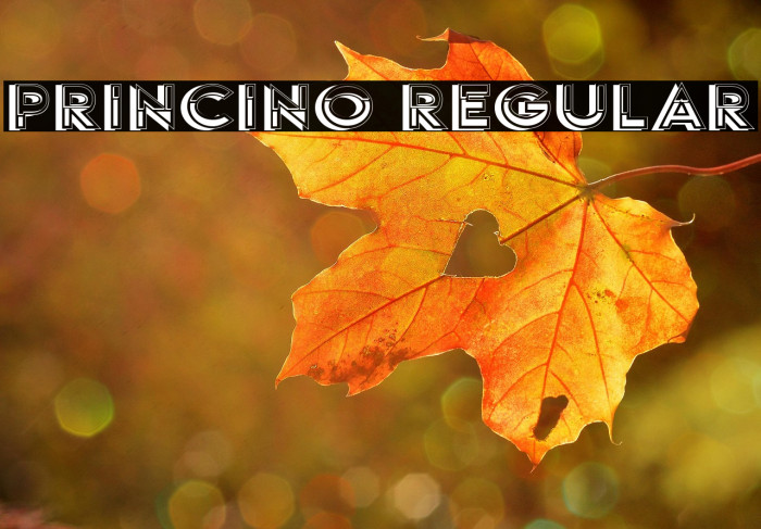 Princino Regular Example 2
