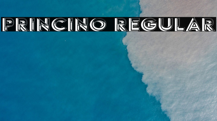 Princino Regular Example 3