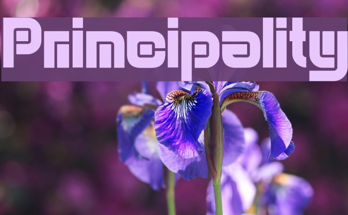 Principality Example 2