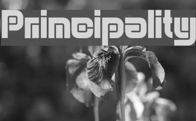 Principality Font examples