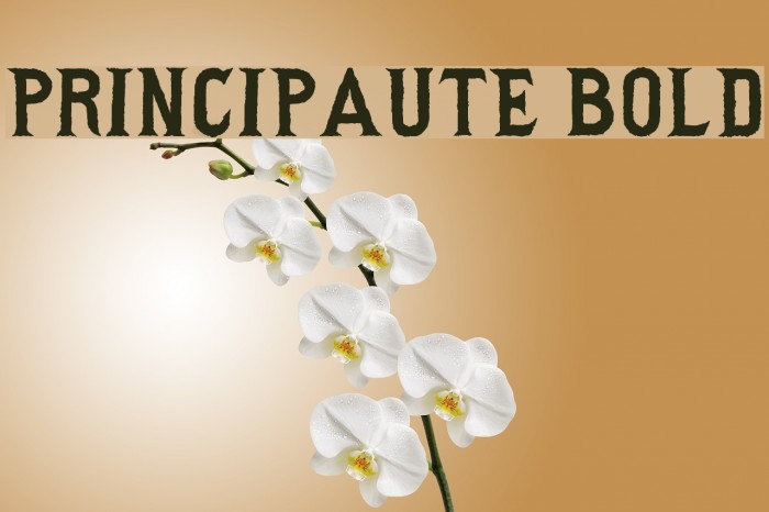 Principaute Bold Example 2