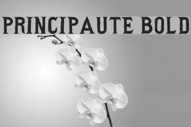 Principaute Bold Font examples