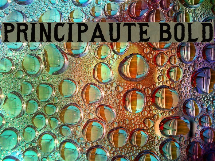 Principaute Bold Example 3