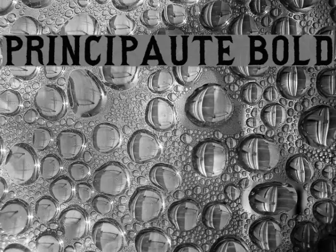 Principaute Bold Font examples