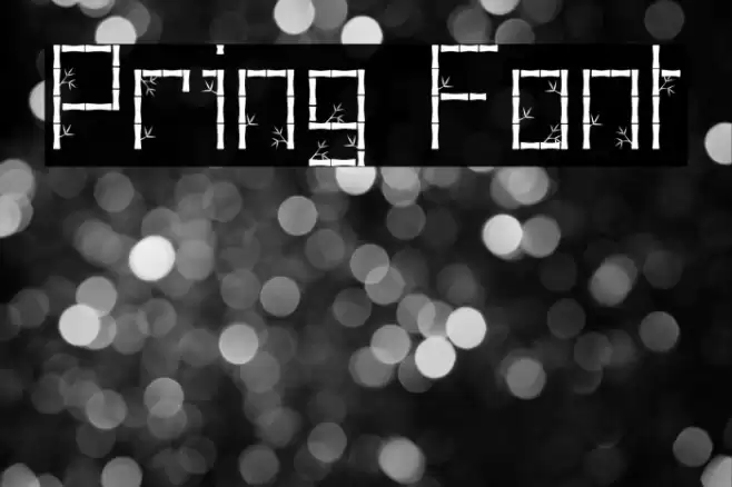 Pring Schriftart examples