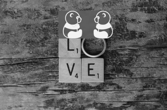 Prinjen Font examples