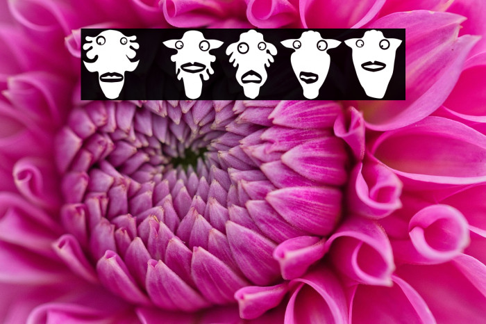 Prins Regular Example 2