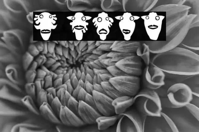 Prins Regular Fuentes examples