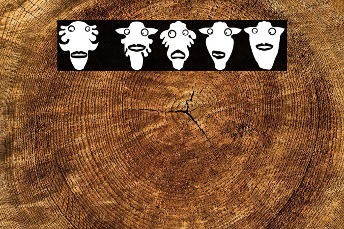 Prins Regular Example 3