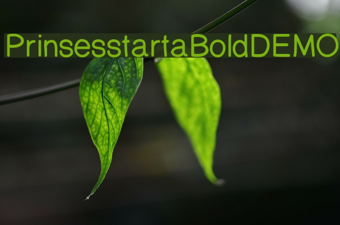 PrinsesstartaBoldDEMO Font examples