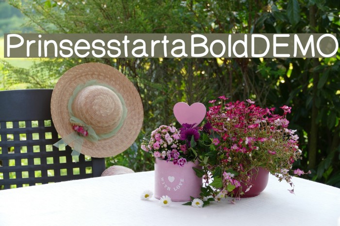 PrinsesstartaBoldDEMO Font examples