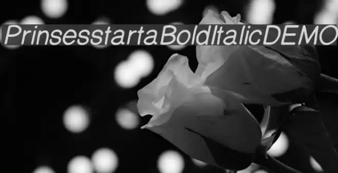 PrinsesstartaBoldItalicDEMO Font examples