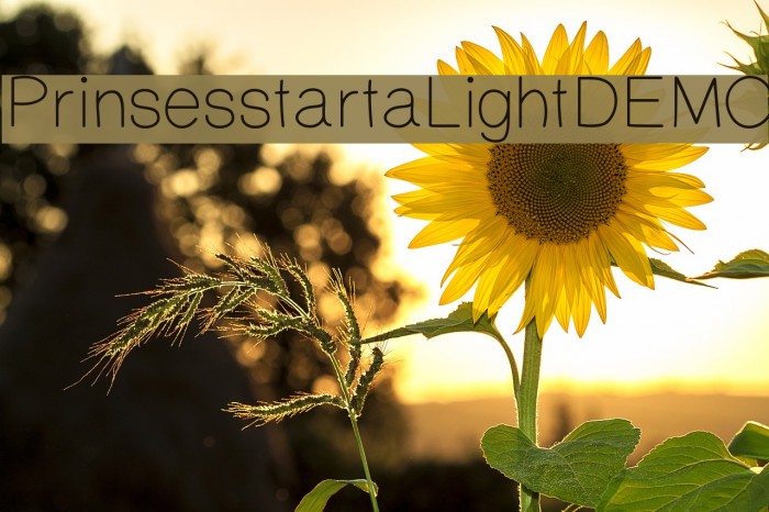PrinsesstartaLightDEMO Font examples