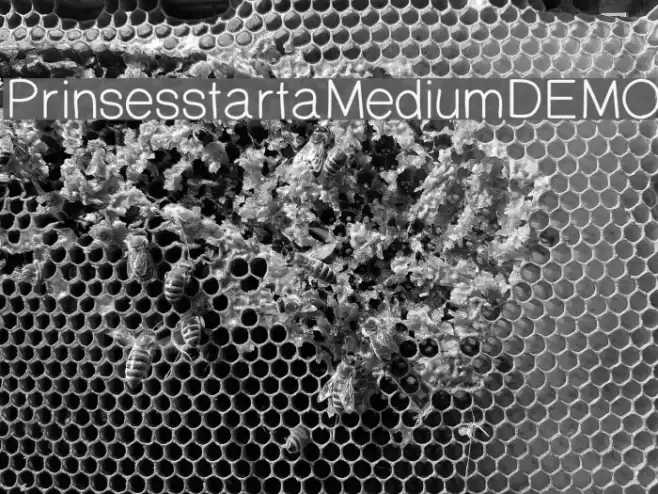 PrinsesstartaMediumDEMO Font examples